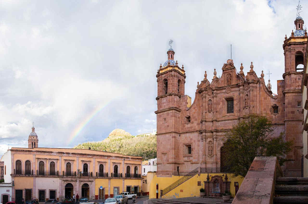 fumigaciones en zacatecas